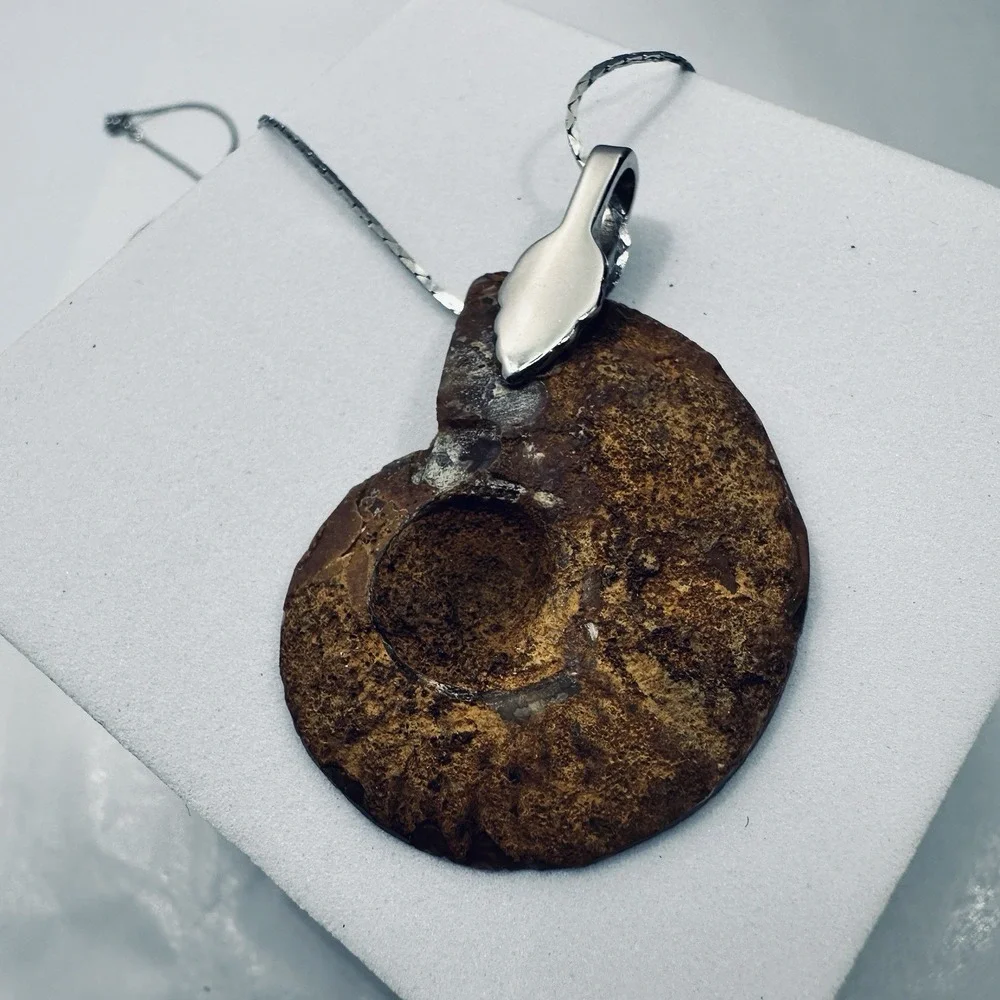 Ammonite Lg Fossil Pendant Necklace Brown Nautilus Shell Slice Silver Tone 18